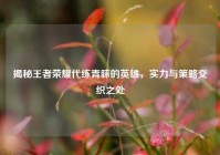 揭秘王者荣耀代练青睐的英雄，实力与策略交织之处