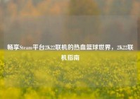 畅享Steam平台2K22联机的热血篮球世界，2K22联机指南