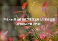 怀念PUBG艾伦格雾夜芦苇荡三级头？却连结束游戏回大厅都成问题！