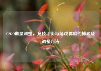 CSGO血量调整，竞技平衡与游戏体验的博弈及调整方法
