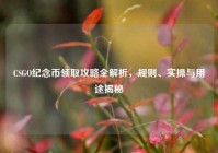 CSGO纪念币领取攻略全解析，规则、实操与用途揭秘