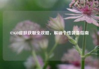 CSGO皮肤获取全攻略，解锁个性装备指南