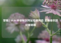 警惕！PUBG申诉解封网址暗藏风险 正确维权路径需明晰