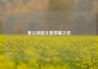 老公深陷王者荣耀之后