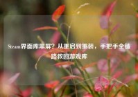 Steam界面库黑屏？从重启到重装，手把手全链路救回游戏库