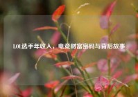 LOL选手年收入，电竞财富密码与背后故事