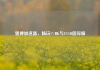 雷神加速器，畅玩PUBG与CSGO国际服