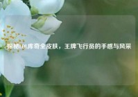 探秘LOL库奇全皮肤，王牌飞行员的手感与风采
