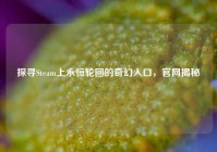 探寻Steam上永恒轮回的奇幻入口，官网揭秘