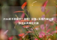 PUBG听不到脚步？别慌！设置+实用方案让你秒变听声辨位大神
