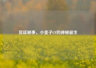宫廷秘事，小皇子CF的神秘诞生