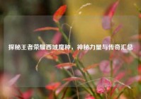 探秘王者荣耀西域魔种，神秘力量与传奇汇总