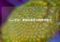 Steam平台，重温热血格斗的独特魅力