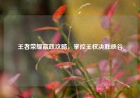 王者荣耀嬴政攻略，掌控王权决胜峡谷