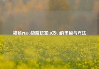 揭秘PUBG隐藏玩家ID及UI的奥秘与方法