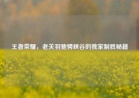 王者荣耀，老关羽驰骋峡谷的独家制胜秘籍