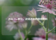 PUBG Pass积分，战场进阶的隐形燃料