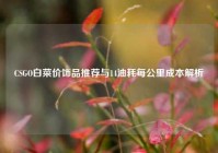 CSGO白菜价饰品推荐与14油耗每公里成本解析