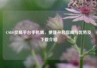 CSGO交易平台手机端，便捷开启指南与优势及下载介绍