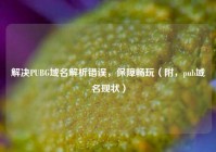 解决PUBG域名解析错误，保障畅玩（附，pub域名现状）