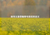 探寻王者荣耀单号背后的含义