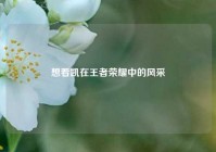 想看凯在王者荣耀中的风采