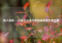 深入剖析，LOL眼石分类与掌控视野的关键作用
