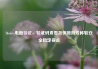 Steam电脑验证，验证码查看及保障游戏体验安全稳定要点