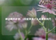 峡谷飓风赵信，E技能突袭三人成疾风利刃