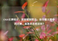 CSGO王牌统计，数据藏制胜法，你不懂王牌中的王牌、离高手还差这些？
