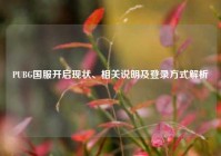PUBG国服开启现状、相关说明及登录方式解析