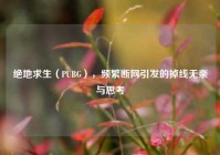 绝地求生（PUBG），频繁断网引发的掉线无奈与思考