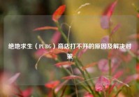 绝地求生（PUBG）商店打不开的原因及解决对策
