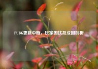 PUBG更新中断，玩家困扰及成因剖析