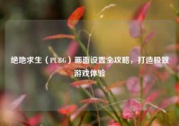 绝地求生（PUBG）画面设置全攻略，打造极致游戏体验