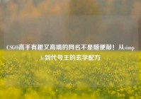 CSGO高手有趣又高端的网名不是随便敲！从simple到代号王的玄学配方