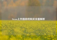 Steam上外国游戏购买全面解析