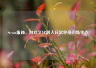 Steam服饰，游戏文化融入日常穿搭的新生态
