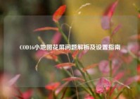 COD16小地图花屏问题解析及设置指南