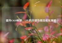 提升CSGO帧数，CPU的关键作用及优化策略