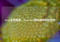 Steam无线键盘，Steam Deck畅玩游戏的好搭档