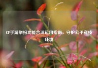 CF手游举报功能合理运用指南，守护公平竞技环境
