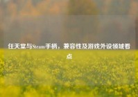 任天堂与Steam手柄，兼容性及游戏外设领域看点