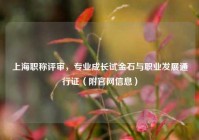 上海职称评审，专业成长试金石与职业发展通行证（附官网信息）