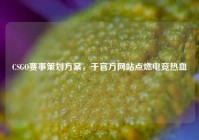 CSGO赛事策划方案，于官方网站点燃电竞热血