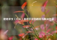 绝地求生（PUBG）显存不足的困扰与解决办法