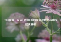 CSGO皮肤，从入门到高阶的多层次魅力与购买层次解析