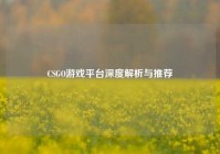 CSGO游戏平台深度解析与推荐