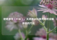 绝地求生（PUBG），关闭提示以提升游戏流畅体验的方法