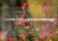 CSGO中警火与匪火伤害差异及对战局的影响